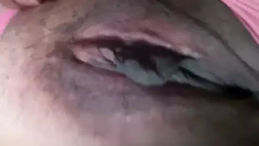 oynuyor kedi