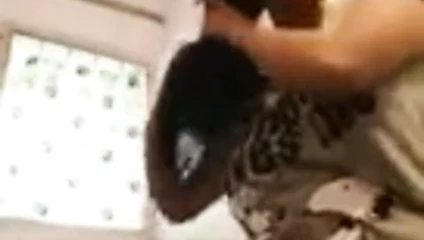 Hintli minyon