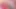 Transerotica kısa saçlı kaden kole trans grup tarafından sikiliyor
