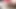 My sister-in-law masturbates to give me a blowjob later, we are caught by her cuckolded husband