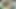 Güzel kuzen, gel ve bu büyük yarağı dene! - İspanyolca porno