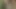 Kolombiyalı prepagada