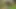 Cute twink masturbates secretly in the forest