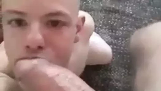 beyaz bir canavar emme