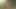 Petite brunette francaise sodomisee en pleine nature