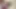 Öğrenci orta yaşlı seksi kadın anal ve amcık sikişiyor