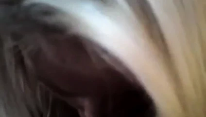 amatör oral seks ve yutma Cum