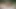 Private.com - yolda creampied güzellik kinuski sikikleri!
