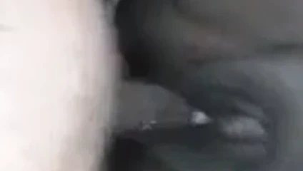 benim karım sulu KEDİ