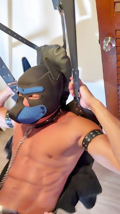 My Stepbro and I Decided That This Pet Deserved to Take Both Our Cocks at Once