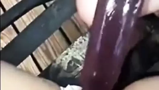 Kedi buzlu şeker (web bul)