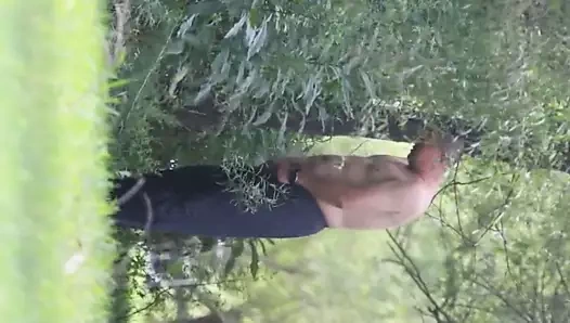 Chinese tombul ayı açık işemek