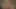 Zenci tanrıça Coco Pink büyük yaraklara biraz salya akıtıyor
