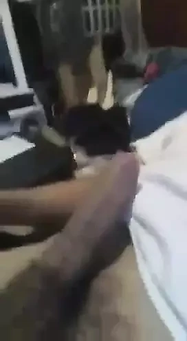 Güzel kraliçelere yarak okşuyor