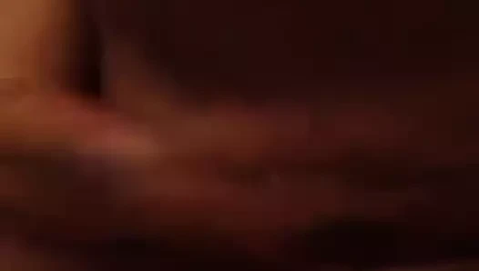 Becky donaldson - stirling İskoçya kedi gösterir