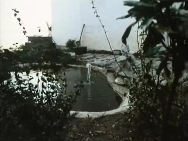 Железный комиссар (1979)