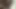 Dik hottie parmaklar ona kedi süre emme üzerinde büyük siyah horoz