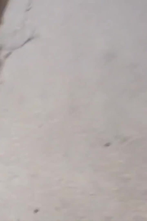 Pencerelerden geçti ve şanslı oldu