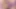 Sümüksü ve Sui, 22 cm uzunluğunda kocaman pembe penisle