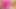 Parlak çıplak külotlu çorap ve neon pembe azdırma