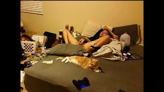 WEBM 91