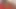 seksi kızıl kırlangıçlar bbc ve daha fazla