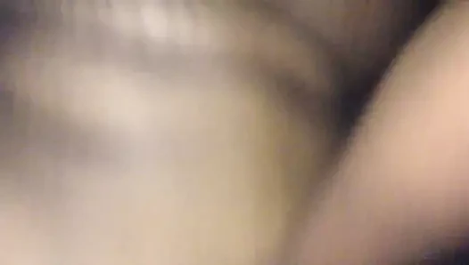 lanet the cat bölüm 1