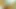 Latin lezbiyenler
