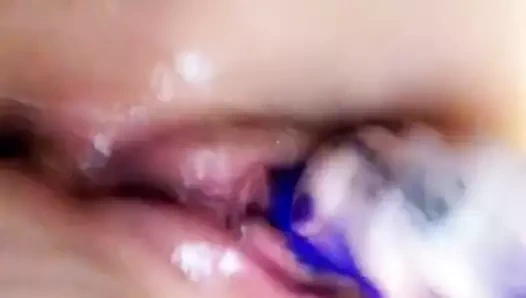 Oyuncak küçük kedi