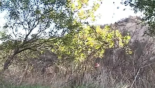 hardcore sanatı!!! - cilt #03