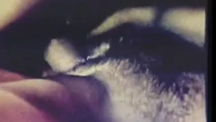 Beher'in seçimi 365