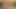 Chickpass - sarah dantel oyuncağıyla şov yapıyor
