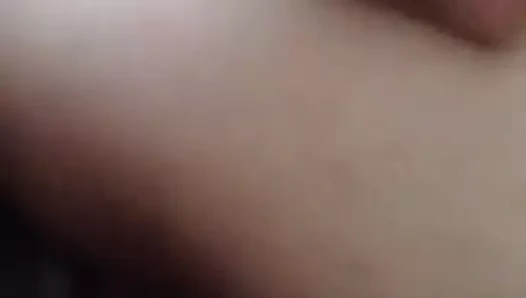 UNE BONNE LEVRETTE