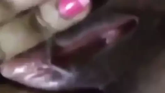 Desi eş şişman kedi