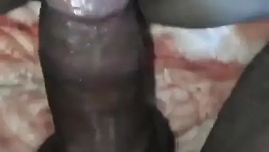 Seks Arap Mısırlı porno