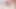 Sahte her şey ile kıvrımlı latina web kamerası alay