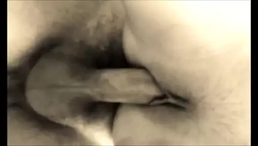 Beaty bir horoz sürmek