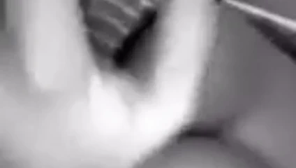 Göğüsler her yerde! x