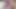 Maiya ıslak Japon 3 boyutlu animasyon - kazık sürücüsü amcık yalama, vibratör sıkı amcık, sansürsüz hentai'de g noktası fışkırtıyor