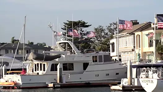 Wall Street'in fahişesi, brazzers