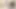 Javhub büyük memeli hemşire Honoka Orihara hastalarını emiyor