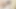 Orta yaşlı seksi üvey annemin ağzına büyük bir yarak soktum ve sonra onu götten siktim