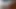 Yetişkin yarağı