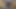 Kıllı amcıklı baştan çıkarıcı olgun kadınlar yakın çekim hd fantezi sahneleri
