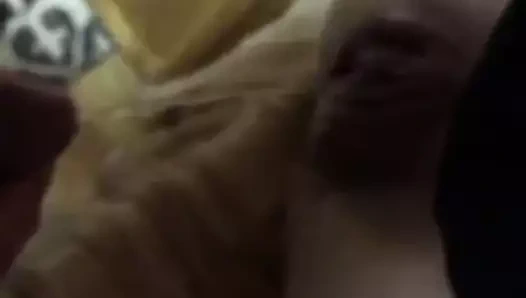 Başlarken fışkırtma