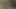 Bu erken ziyaret için ona teşekkür etmeye karar verdi.