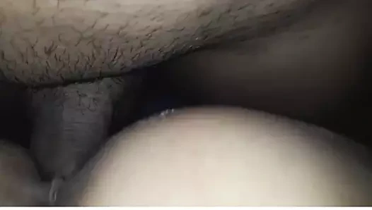 benim kızım köpek malay