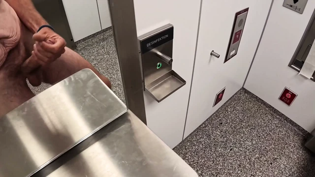 Wixxing in the public toilet