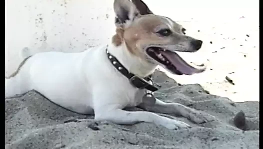 Unutulmaz x!!! - cilt #11