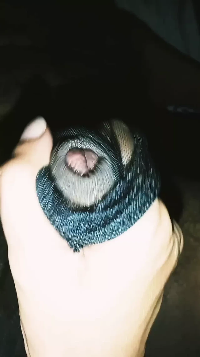 Hintli sürtüğün götü sakso için külotunu kullanırken tokatlanıyor